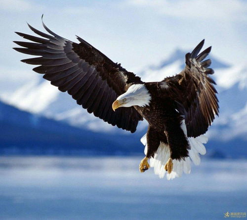 始祖鸟产品细节对比图