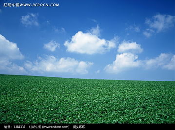 蓝天白云下广阔的田野
