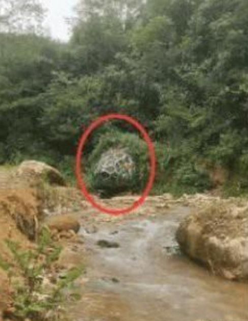 景区惊现巨型蛇头被盖 游客吓得直呼吓人！