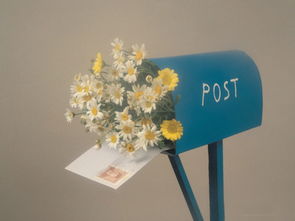 老爸送来的特别礼物——路边的花