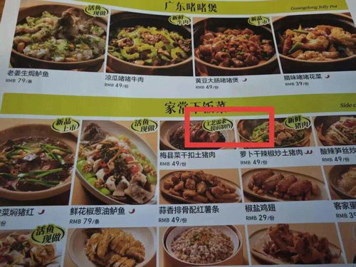 菜单上标注预制菜品示例