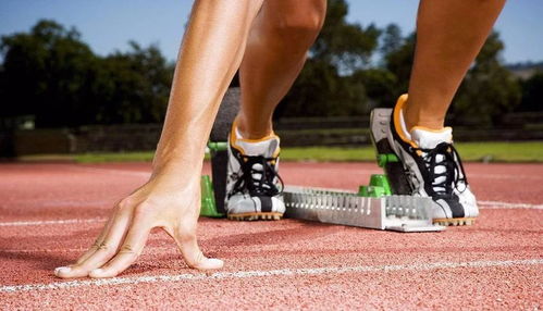 2025衡水湖马拉松：一场激情澎湃的速度盛宴