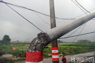 台风造成的电线杆倒塌场景