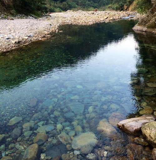 一条清澈的小河，可以看到河底的石头