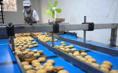 月饼生产线繁忙景象