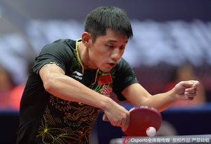 张继科点评男乒最强正反手，太专业啦！