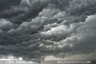 台风‘桦加沙’来袭！深圳面临高风险灾情考验