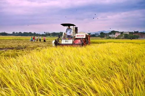 现代化智能农业设备在田间作业