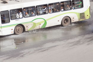 揭秘！为啥坐公交的大多是老人？背后原因真不少