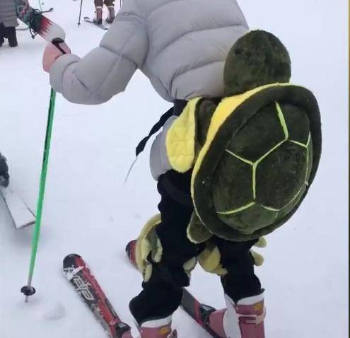 始祖鸟与安踏的两难困境：时尚与商业的博弈