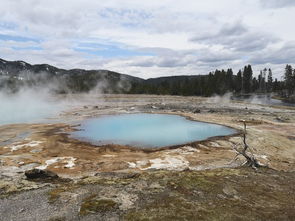 向往的生活竟意外‘Gap’了一把？