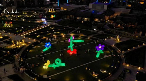 观星人群聚集观看