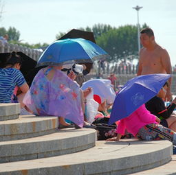 揭秘！台风‘桦加沙’路径不断西调背后的真相